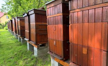 Światowy Dzień Pszczół w Pasiece Edukacyjnej pod „Strzyżówką”